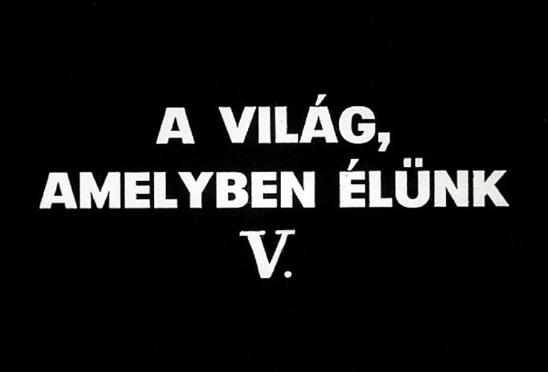 A világ, amelyben élünk V.