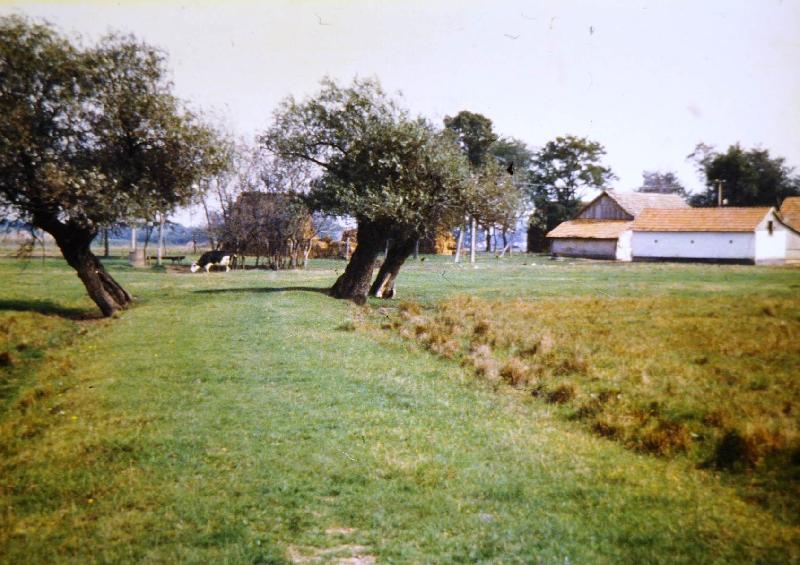 Tanyavilág
