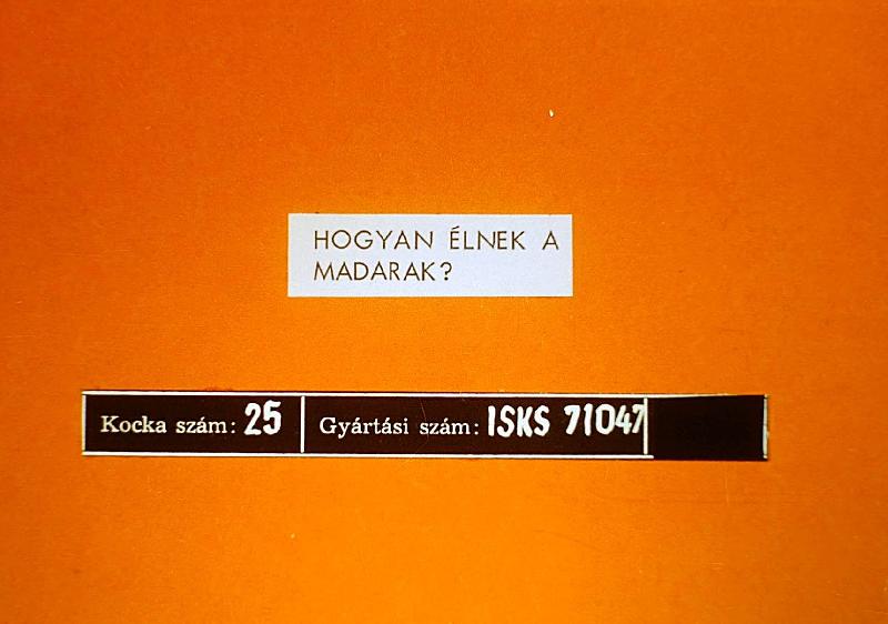 Hogyan élnek a madarak?