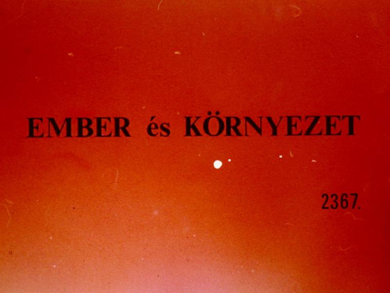 Ember és környezet