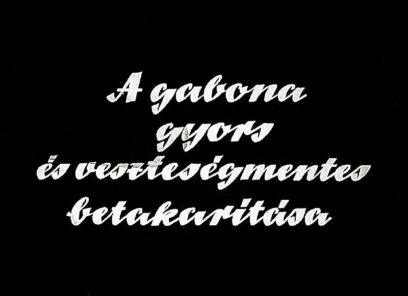 A gabona gyors és veszteségmentes betakarítása