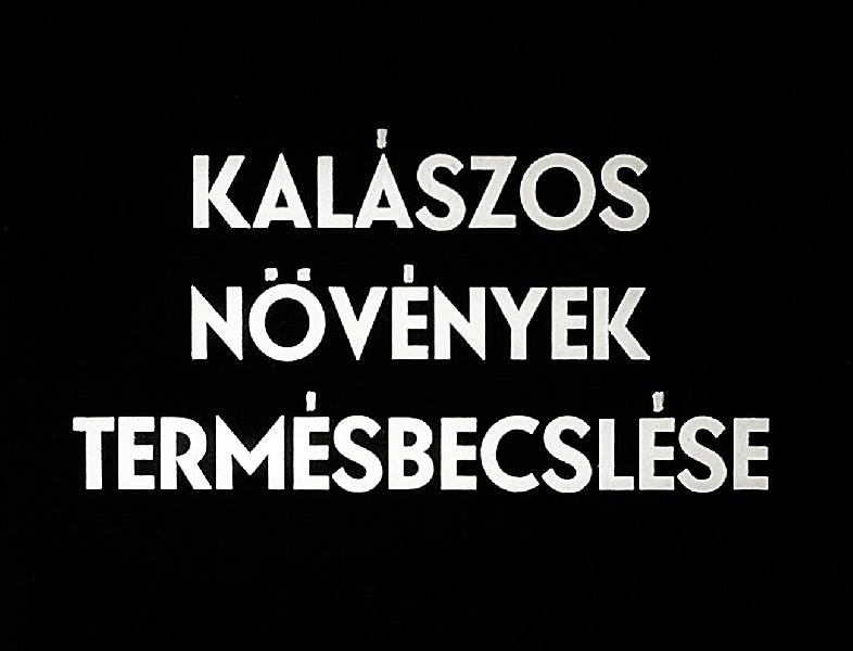 Kalászos növények termésbecslése