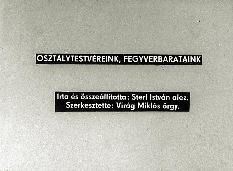 Osztálytestvéreink, fegyverbarátaink