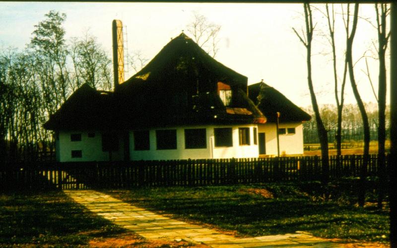 A Déri Múzeum gyűjteményeiből : Az erdőspuszta ritka, védett növényei
