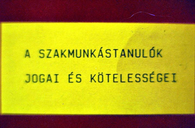 A szakmunkás tanulók jogai és kötelességei