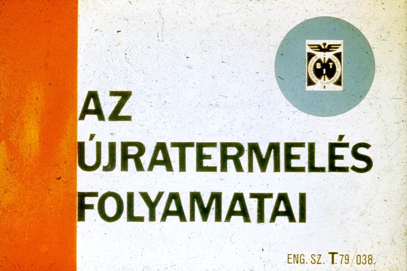 Az újratermelés folyamatai