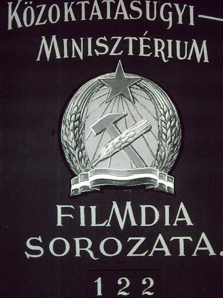 Istoria ilustrata literaturii románe (Képes román irodalomtörténet I.)