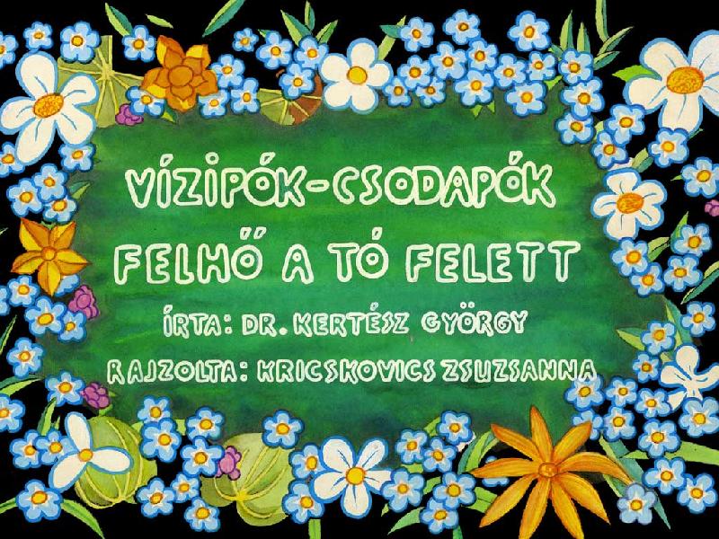 Vízipók csodapók : Felhő a tó felett