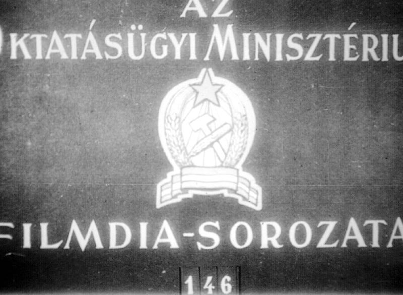 Az állati sejt