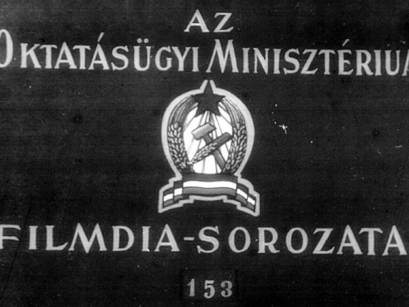 Az állatvilág történeti fejlődése II.