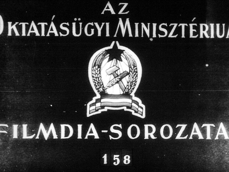 Az állatvilág történeti fejlődése III.