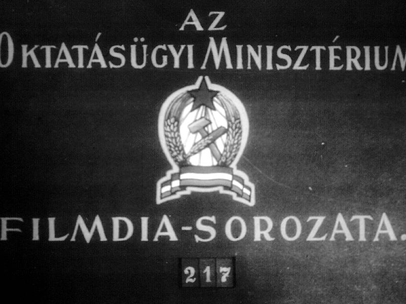 Ausztrália állatai II.