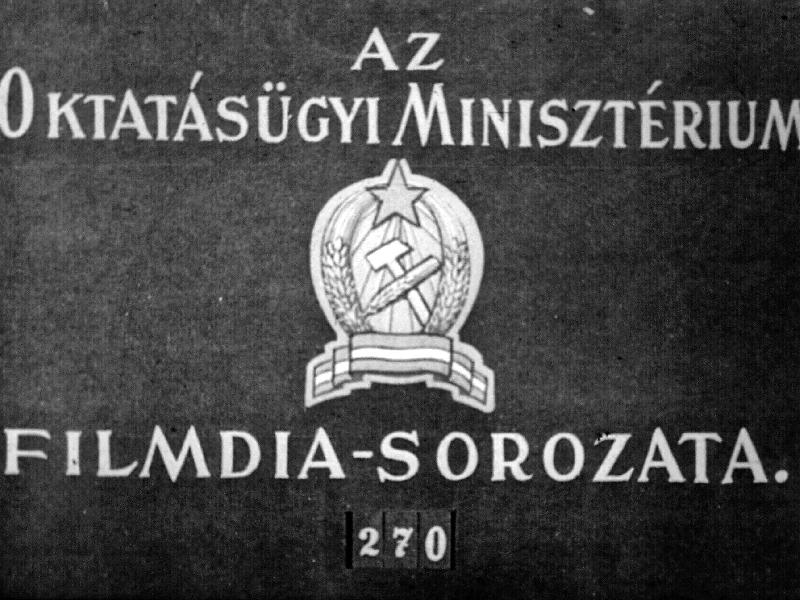 Déli Sarkvidék állatvilága