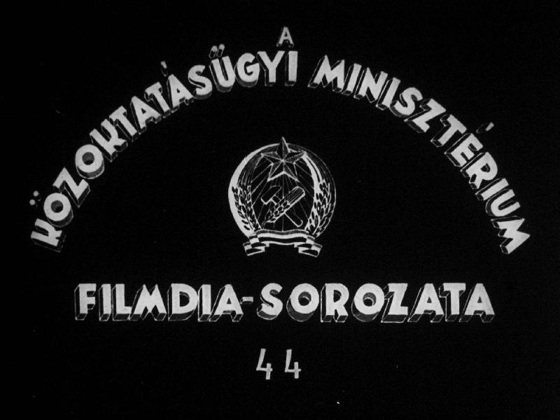 Ember származása I.