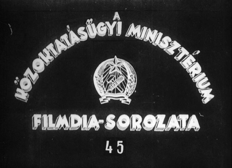 Ember származása II.