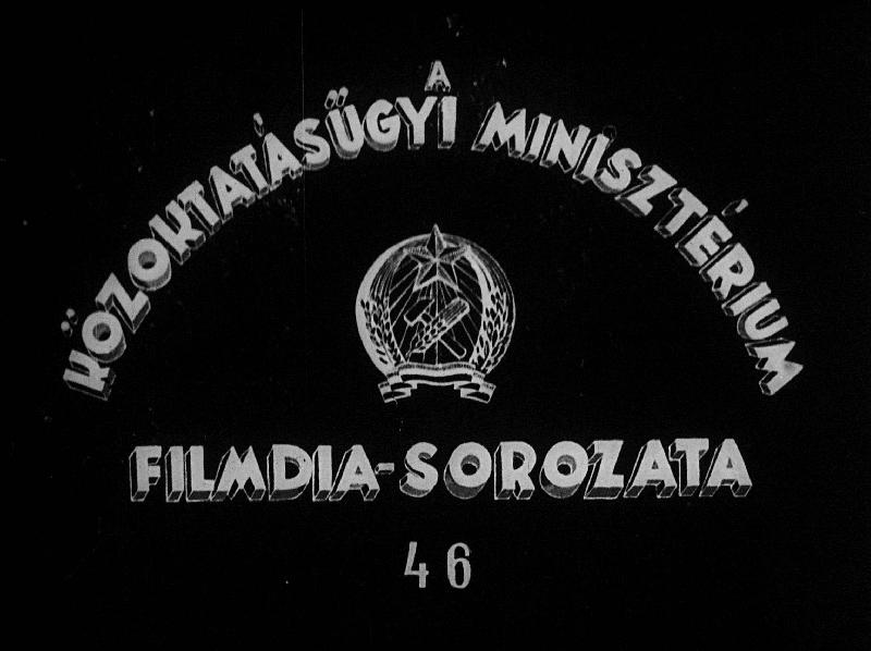 Ember származása III.