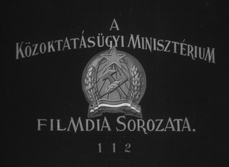 Fagyöngy - és kankalinfélék, központi magvúak és sziromtalanok