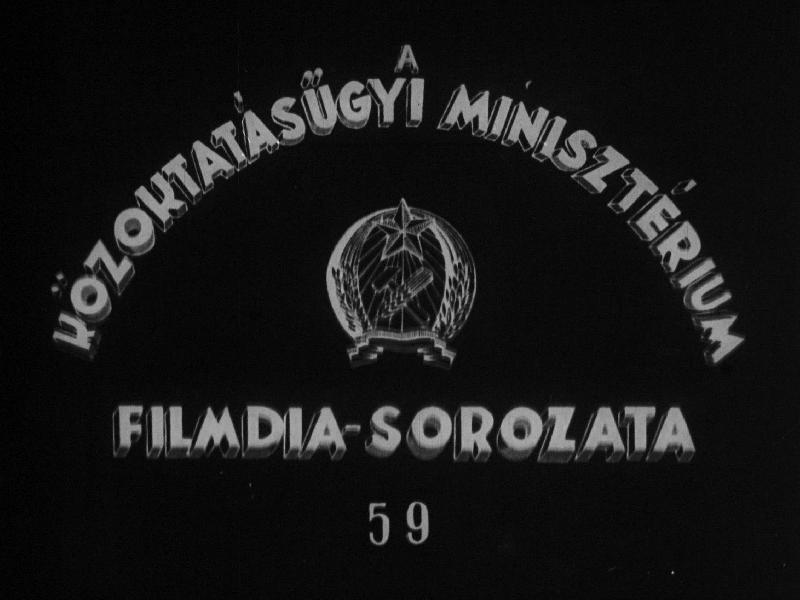 Rovarok II.