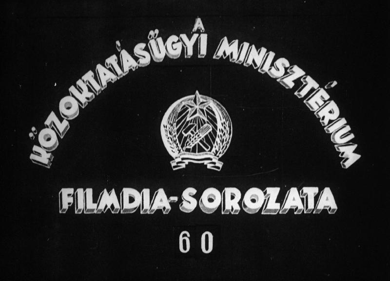 Rovarok III.