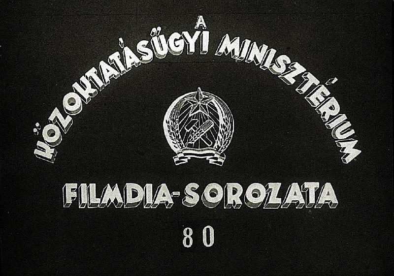 Afrika általános jellemzése II.