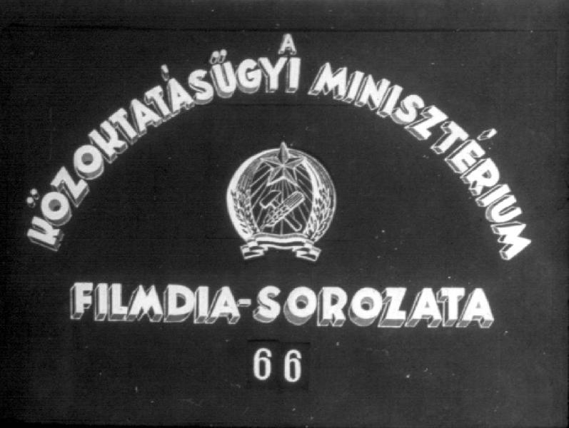 Emlősök I.