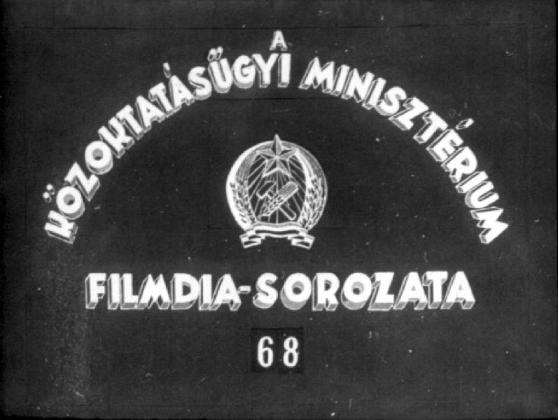Emlősök III.