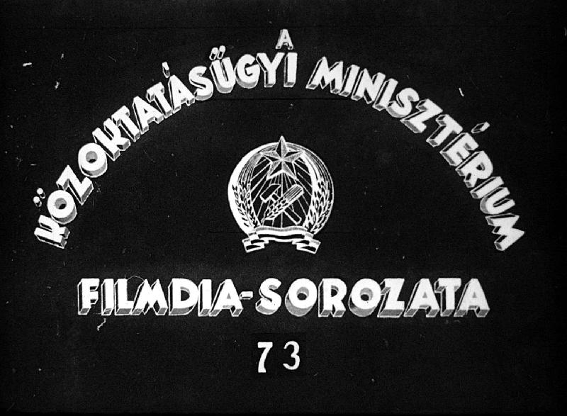 Idegrendszer filogenezise I.