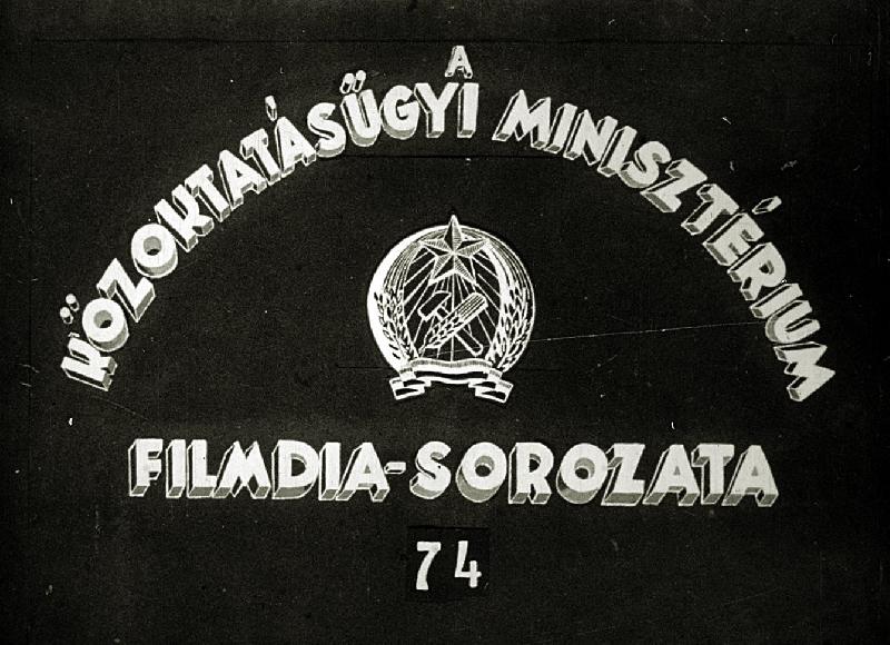 Idegrendszer filogenezise II.