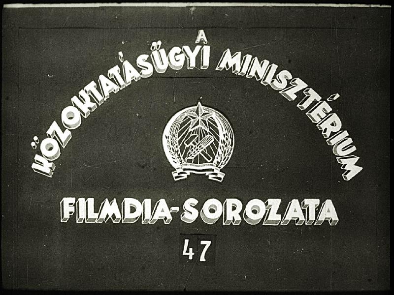 Madarak I.