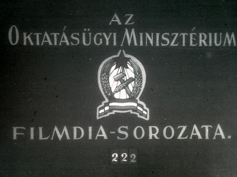 Magyar fizikusok I.