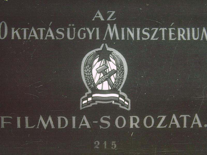 A mozgás aktív szervei II.