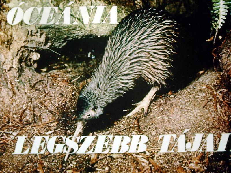 Óceánia legszebb tájai I.