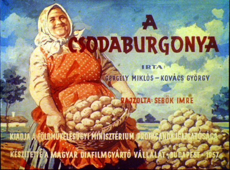 A csodaburgonya