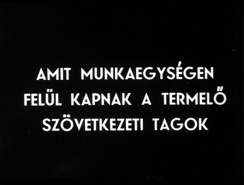 Amit a munkaegységen felül kapnak a termelő szövetkezeti tagok