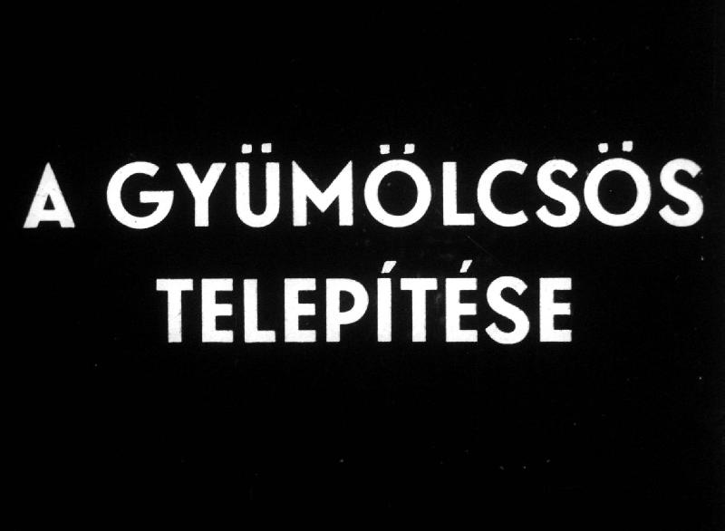 A gyümölcsös telepítése