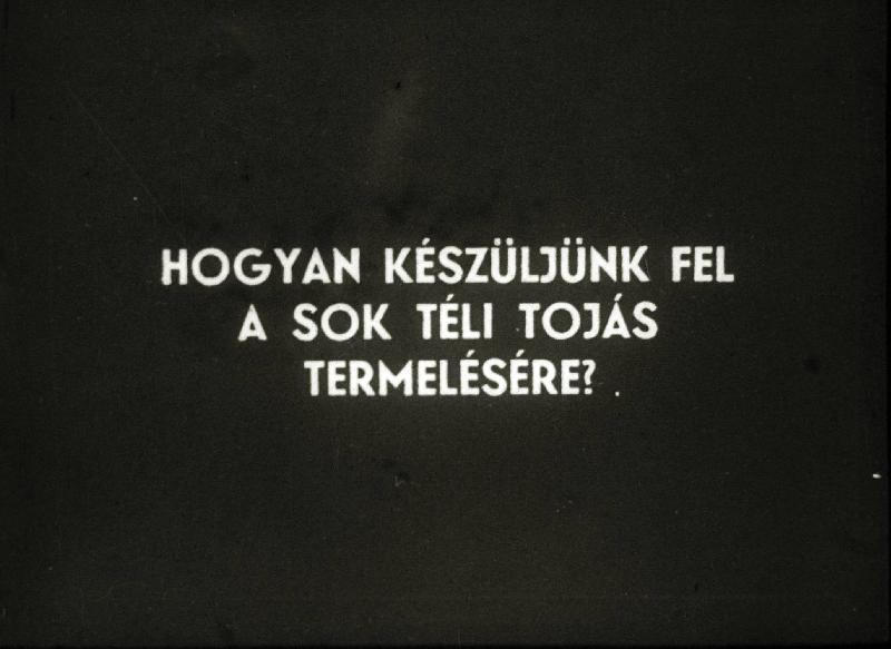 Hogyan készüljünk fel a sok téli tojás termelésére?