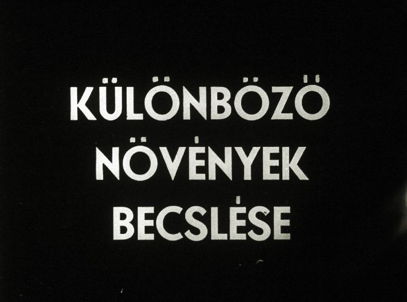 Különböző növények becslése