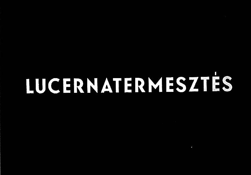 Lucernatermesztés