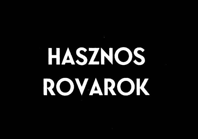 Hasznos rovarok