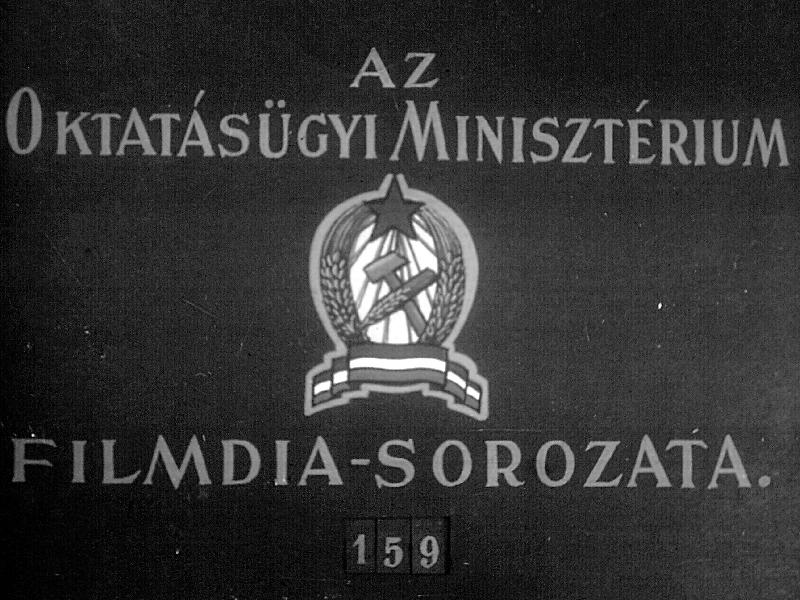 Kína nemzeti felszabadulása I.