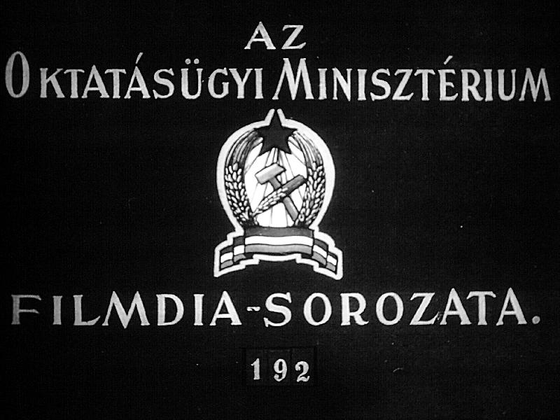 Kína nemzeti felszabadulása II.