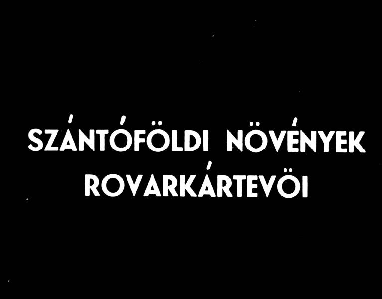 Szántóföldi növények rovarkártevői