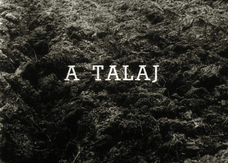 A talaj