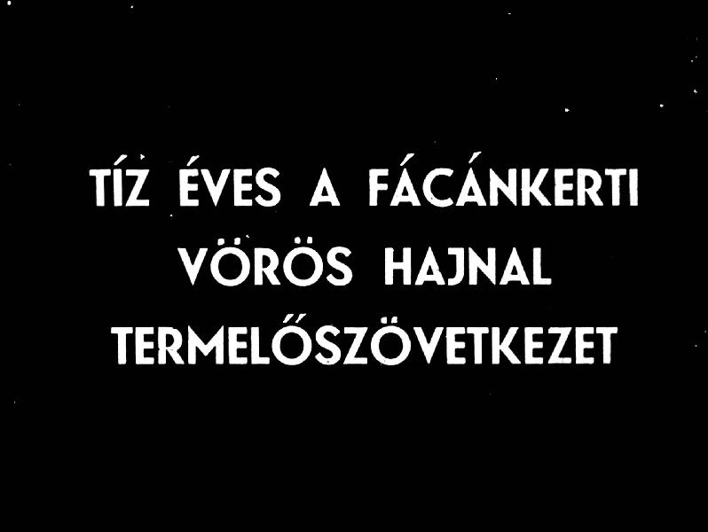 Tíz éves a fácánkerti Vörös Hajnal Termelőszövetkezet