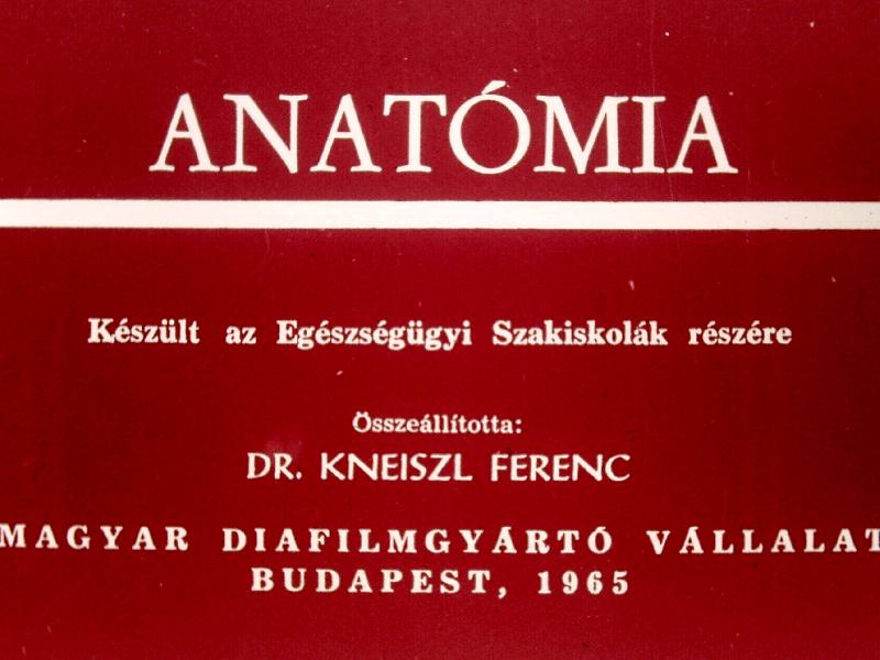 Anatómia I.