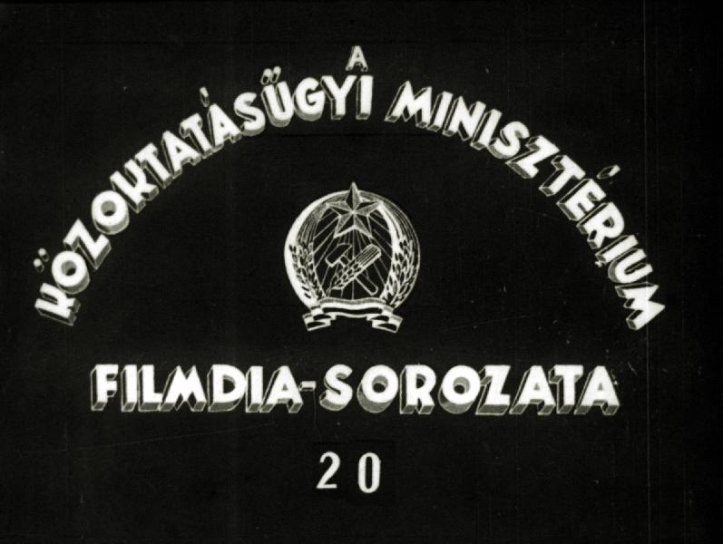 Csalánozók