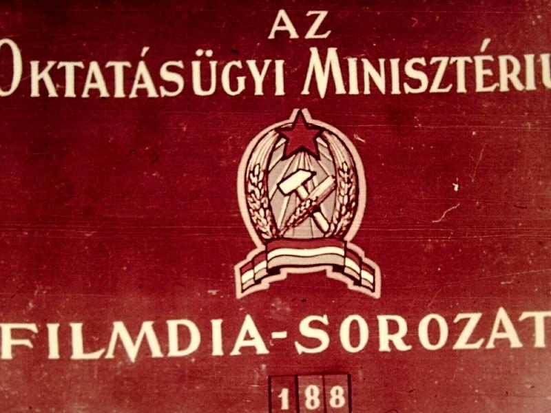 Ember szervezete : 21.