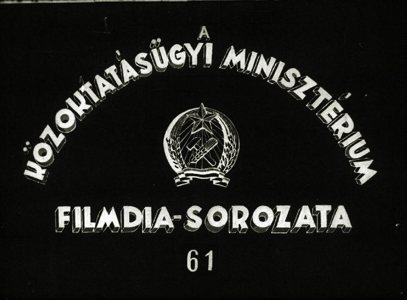 Rákok, pókok, százlábúak