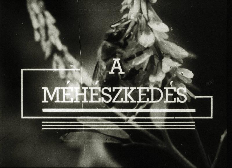 A méhészkedés