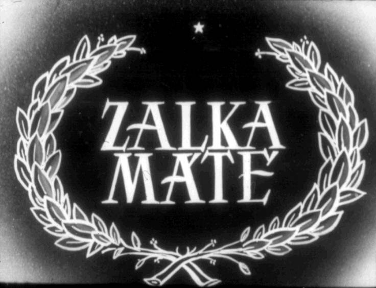 Zalka Máté